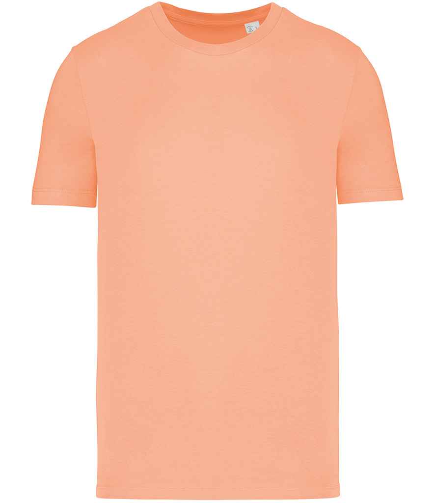 Native Spirit Unisex T-Shirt, front view