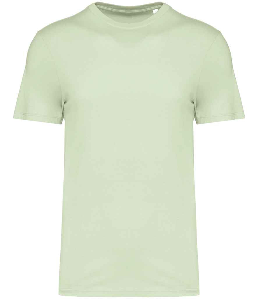 Native Spirit Unisex T-Shirt in Celadon Green, front view