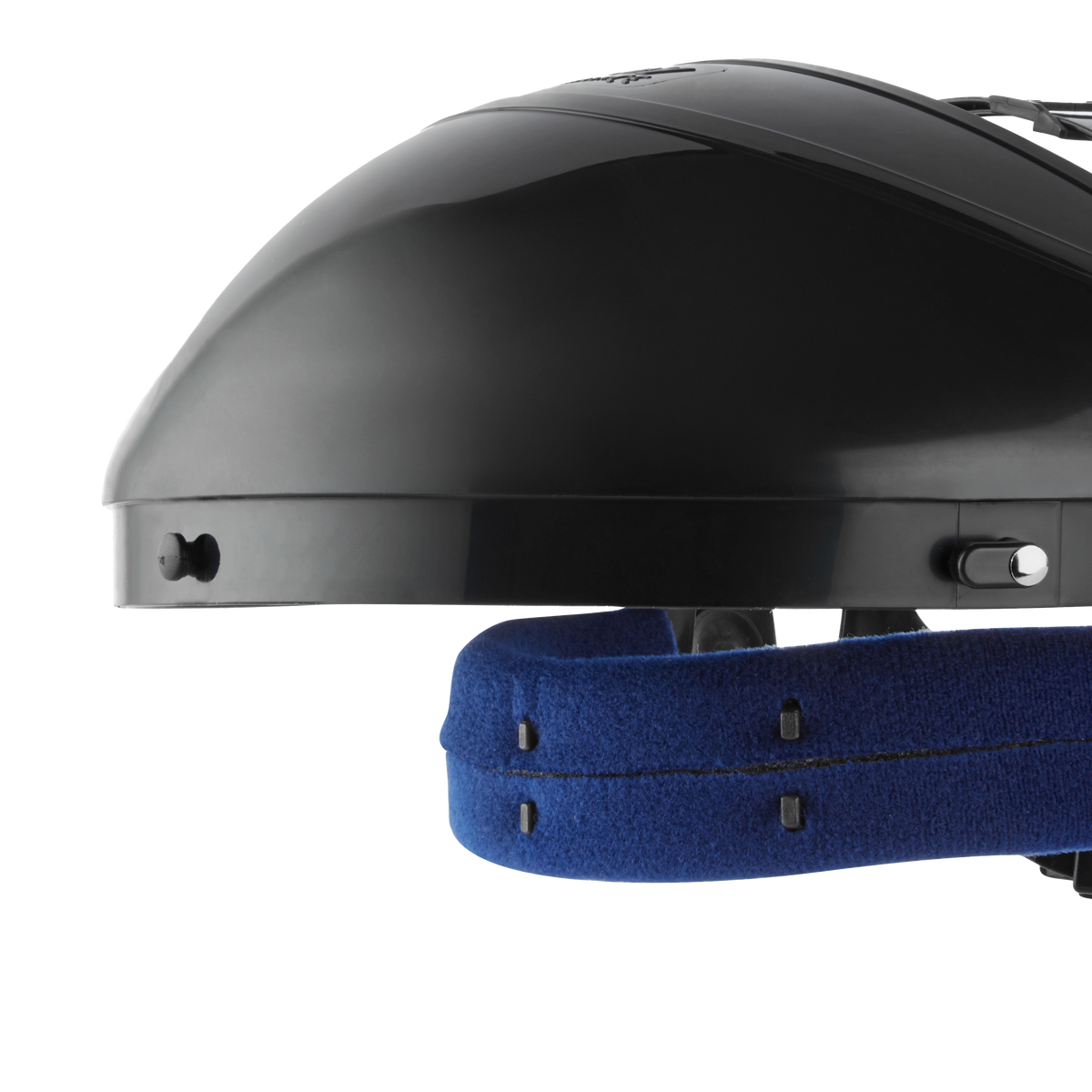 Riley Reon Browguard