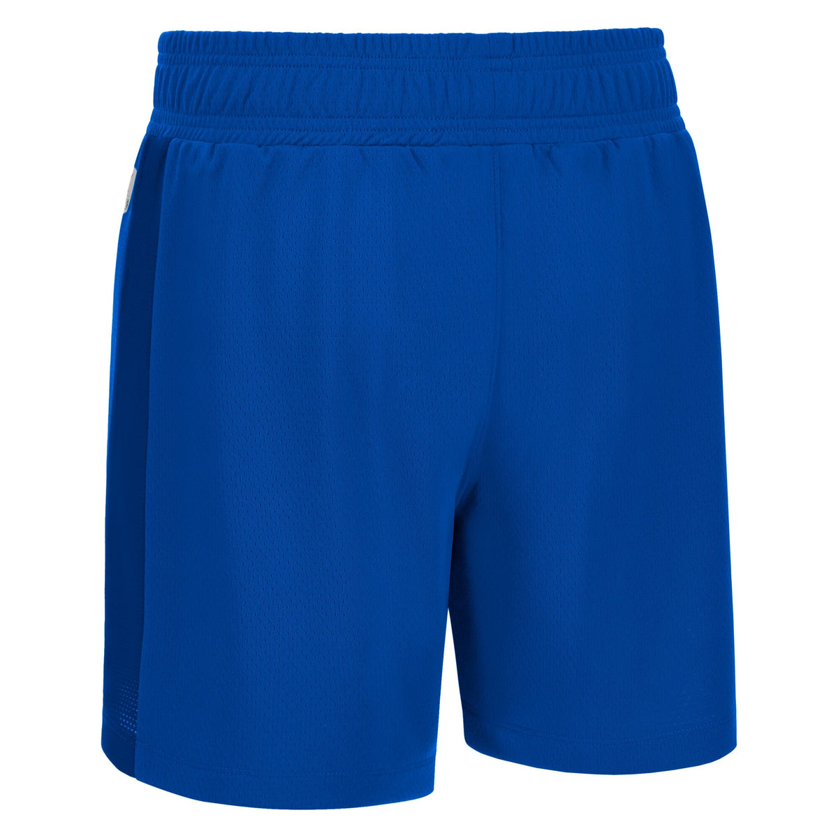 Macron Platinum Eco Basketball Shorts - Royal Blue